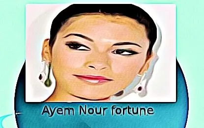 Ayem Nour fortune