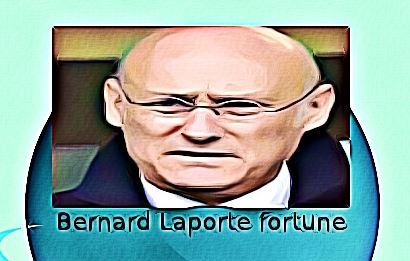 Bernard Laporte fortune