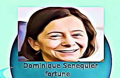 Dominique Senequier fortune