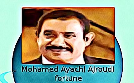 Mohamed Ayachi Ajroudi fortune