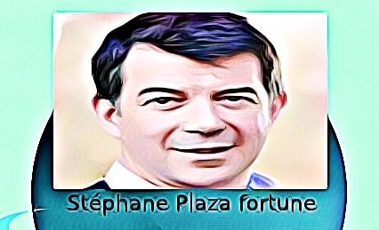 Stephane Plaza fortune