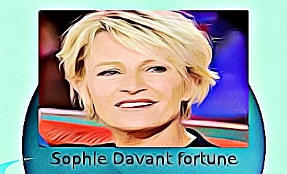 Sophie Davant fortune