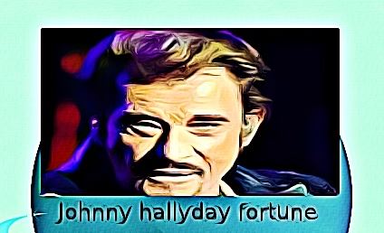 Johnny hallyday fortune
