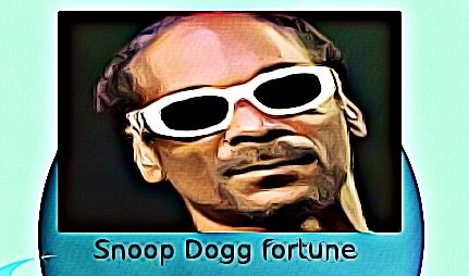 Snoop Dogg fortune
