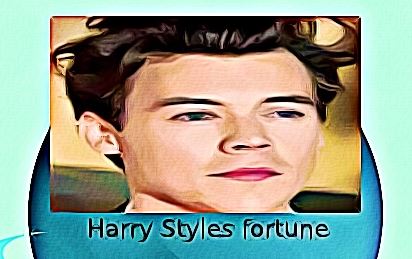 Harry Styles fortune