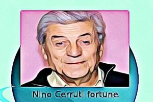 Nino Cerruti fortune