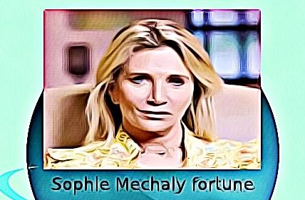 Sophie Mechaly fortune