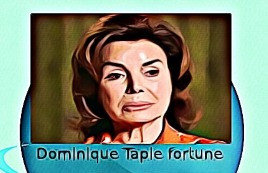 Dominique Tapie fortune