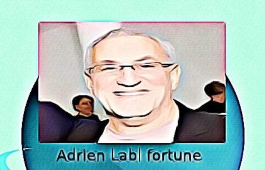 fortune de Adrien Labi