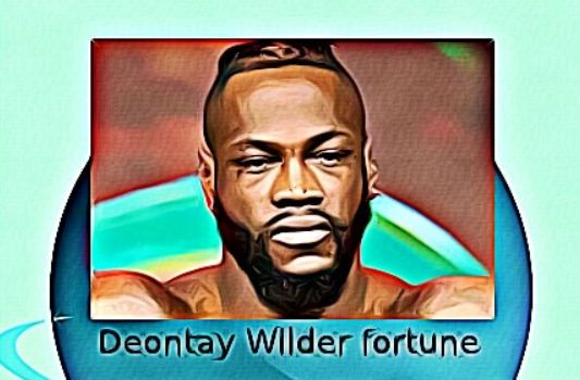 Deontay Wilder fortune