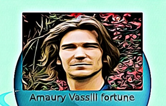 Amaury Vassili fortune